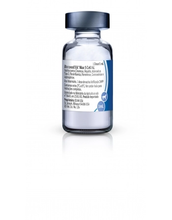 RECOMBITEK MAX 5 CVK/4L/1ML25/1DS