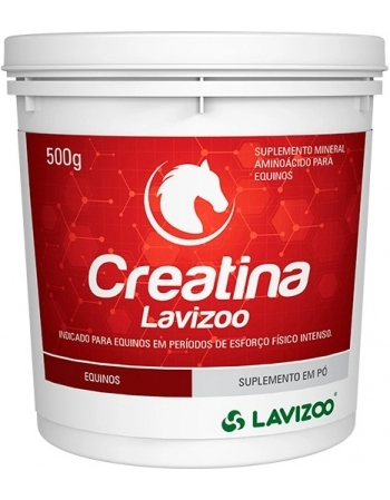 CREATINA LAVIZOO 500GR