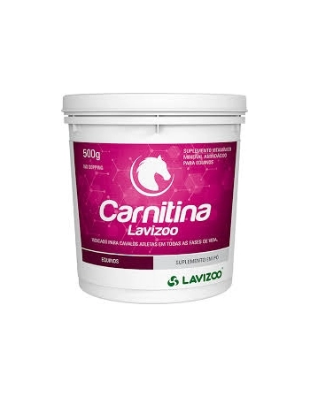 CARNITINA LAVIZOO 500GR