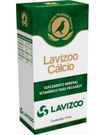 LAVIZOO CALCIO