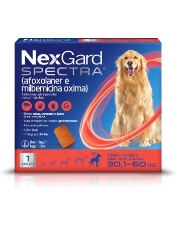 NEXGARD SPECTRA 8,00 X1 GG